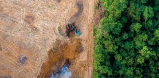 Impacto de los plaguicidas en la salud de la Amazonía