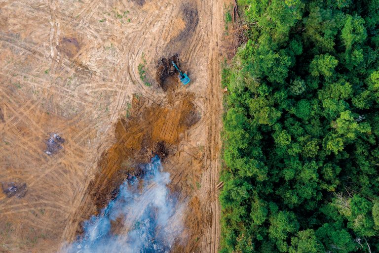 Impacto de los plaguicidas en la salud de la Amazonía
