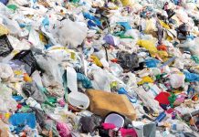 Microplásticos en especies comerciales de pesca podrían traer consecuencias devastadoras