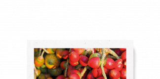 Cinco frutas amazónicas subutilizadas con alto potencial bioactivo