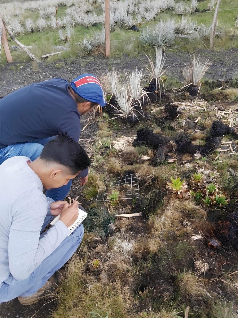 La ecología del fuego: desafíos y oportunidades en Ecuador
