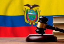 Criminalidad y seguridad pública: una mirada profunda a un Ecuador en crisis