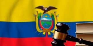 Criminalidad y seguridad pública: una mirada profunda a un Ecuador en crisis