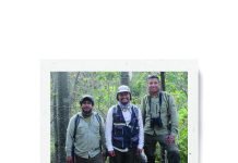 Spirotheca zapotillana: El árbol que ha resuelto el enigma de casi medio siglo