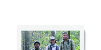 Spirotheca zapotillana: El árbol que ha resuelto el enigma de casi medio siglo