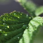 “Comprendí que la ciencia nace de las preguntas y se fortalece en la colaboración”