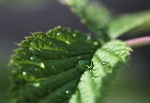 “Comprendí que la ciencia nace de las preguntas y se fortalece en la colaboración”