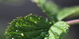 “Comprendí que la ciencia nace de las preguntas y se fortalece en la colaboración”