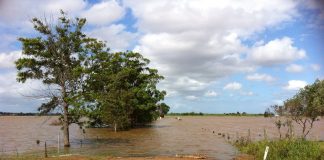 Ciencia que salva vidas: sistema de alerta temprana contra inundaciones y deslizamientos