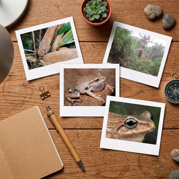 Gemini_Generated_Image_i5dyx4i5dyx4i5dy copia