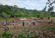 El proyecto Amatech optimiza el secado de cacao y transforma la producción de ochenta familias