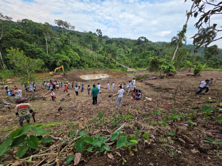 El proyecto Amatech optimiza el secado de cacao y transforma la producción de ochenta familias
